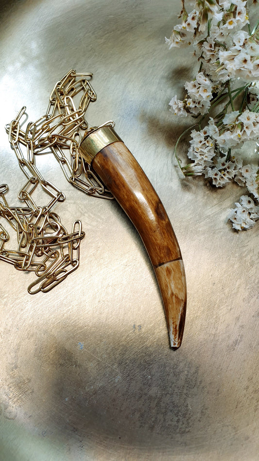 Lunga collana in acciaio con corno