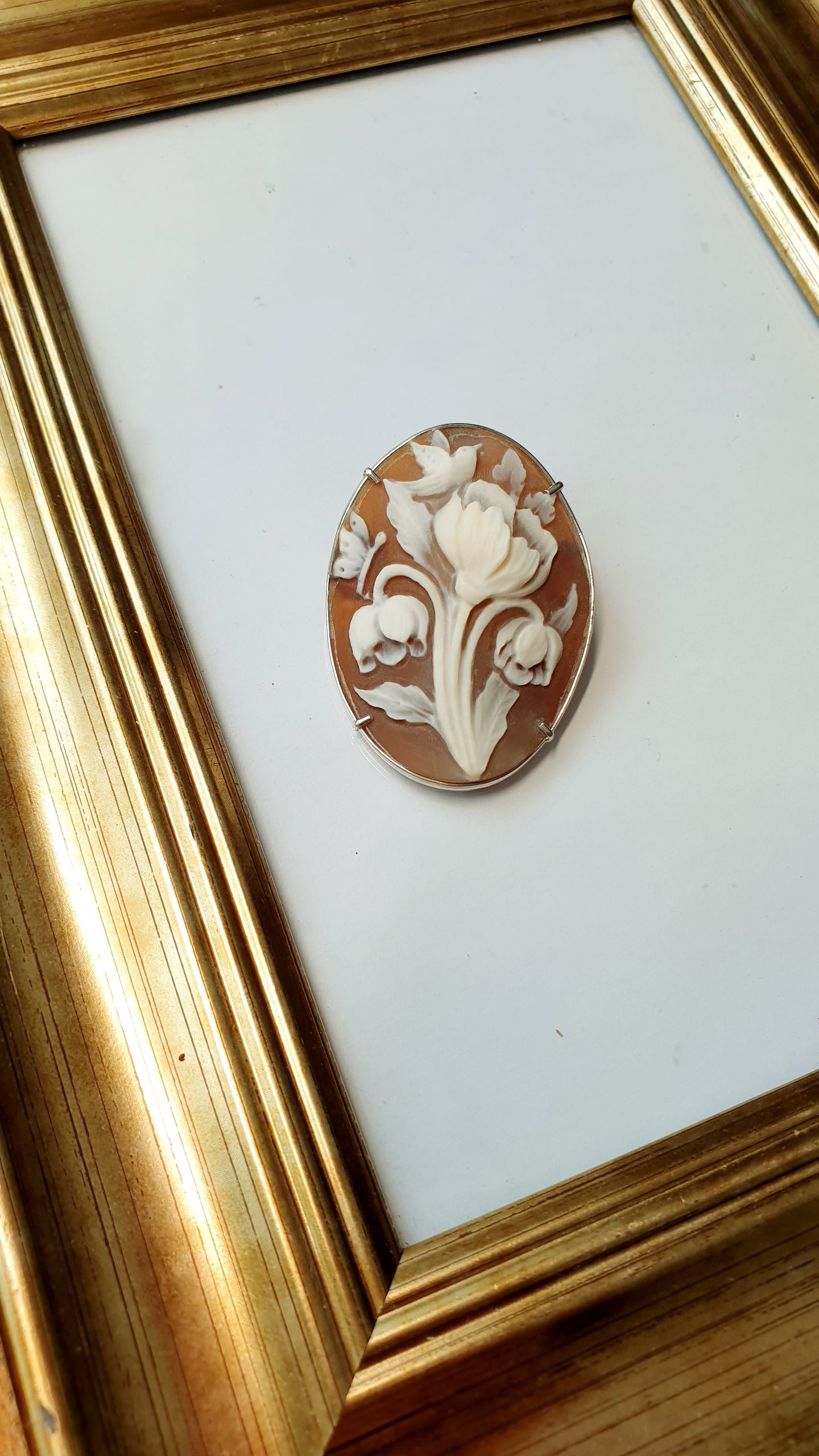 Spilla/ciondolo in argento con cammeo
