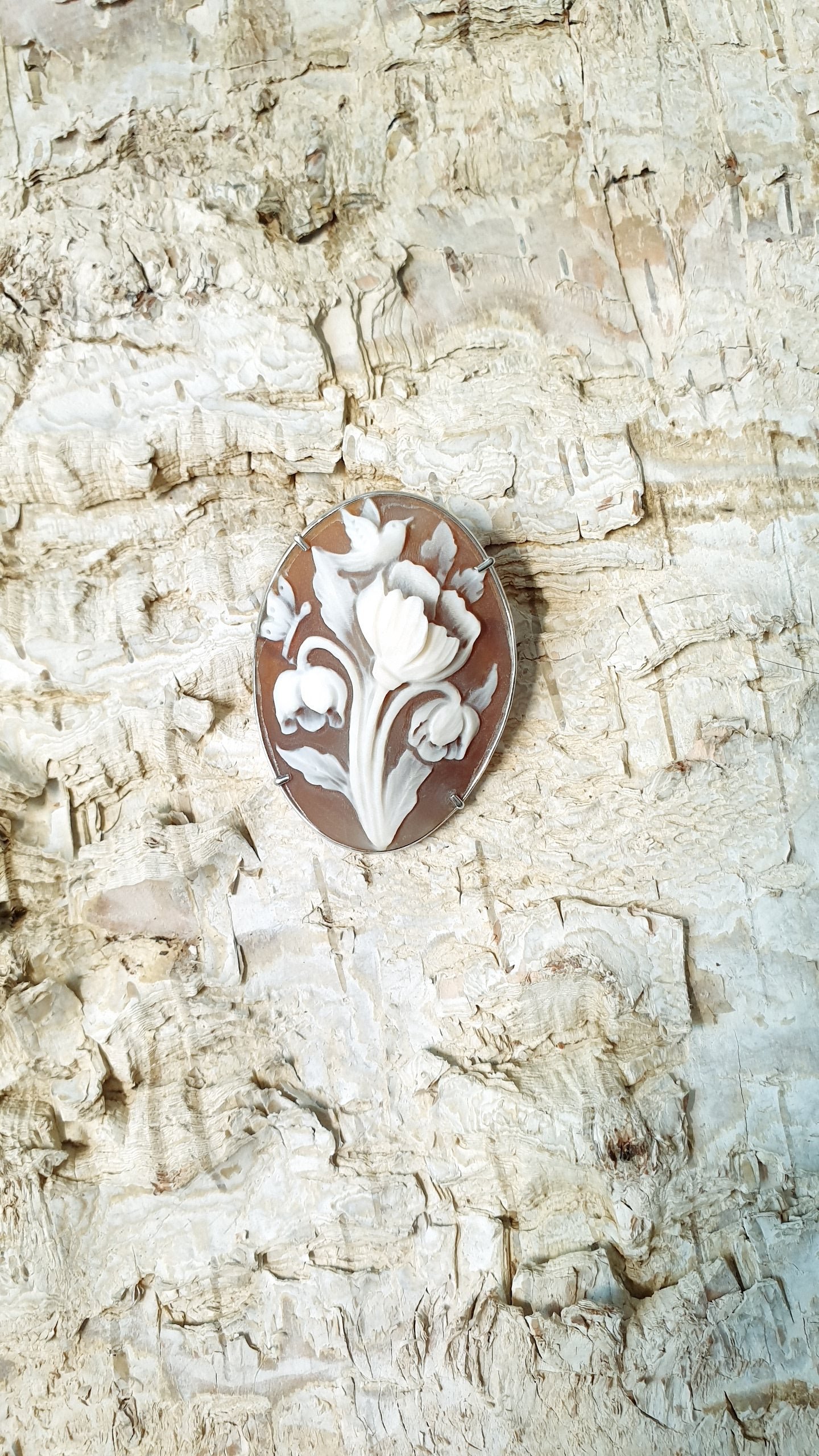 Spilla/ciondolo in argento con cammeo