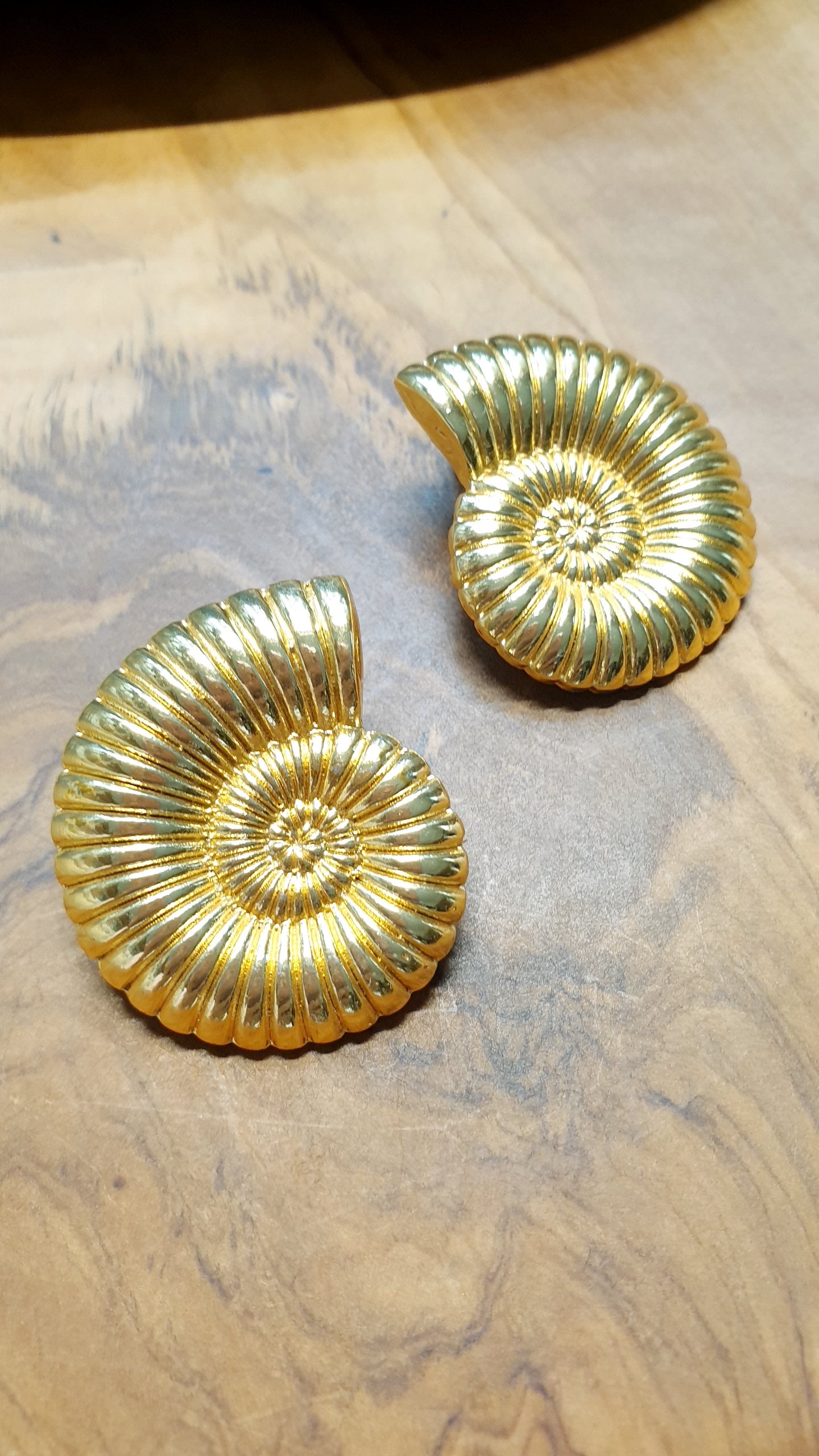 Orecchini a forma di ammonite